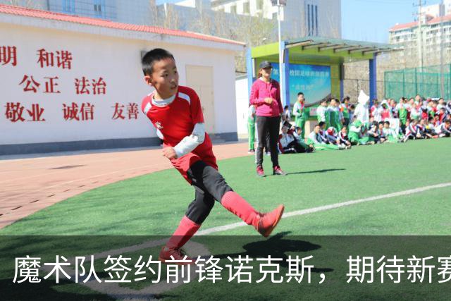 魔术队签约前锋诺克斯，期待新赛季表现逆袭